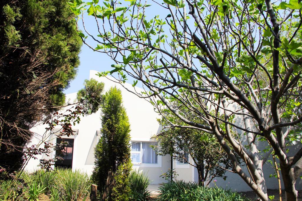 La Coscello Guest House Эденвейл Экстерьер фото